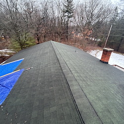 Owens Corning Duration shingle in Chateau Green in Ortonville, MI 0
